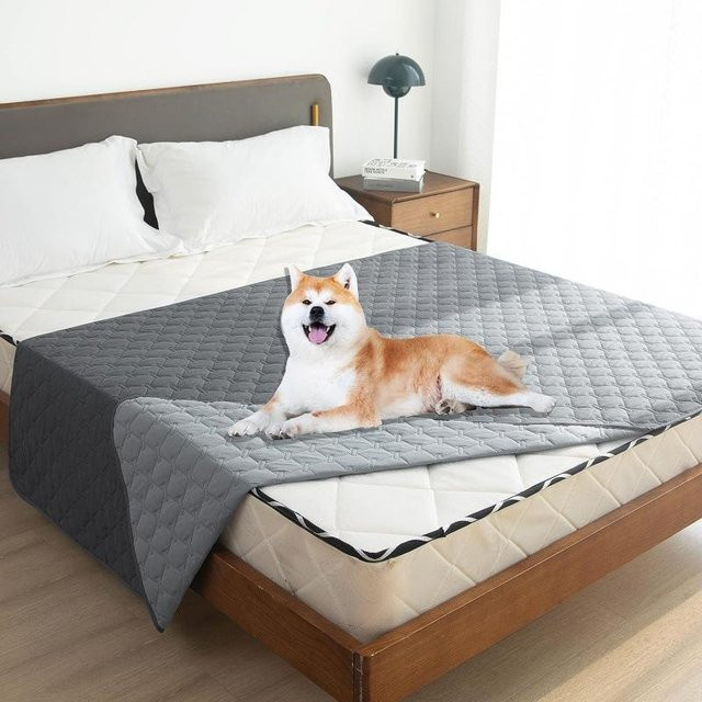 Wasserdichter und rutschfester Hunde- und Katzen-Bettbezug als Matratzenschoner für Sofa und Möbel, Grau, B: 180 cm, T: 75 cm - Bild 1