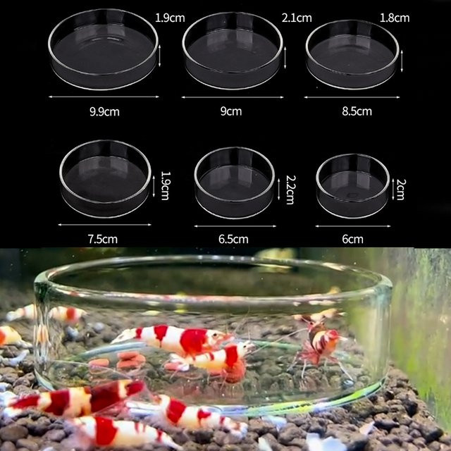 JIECARE Transparenter Glas Futternapf für Aquarium und Reptilien, Farbe: Transparent - Bild 1