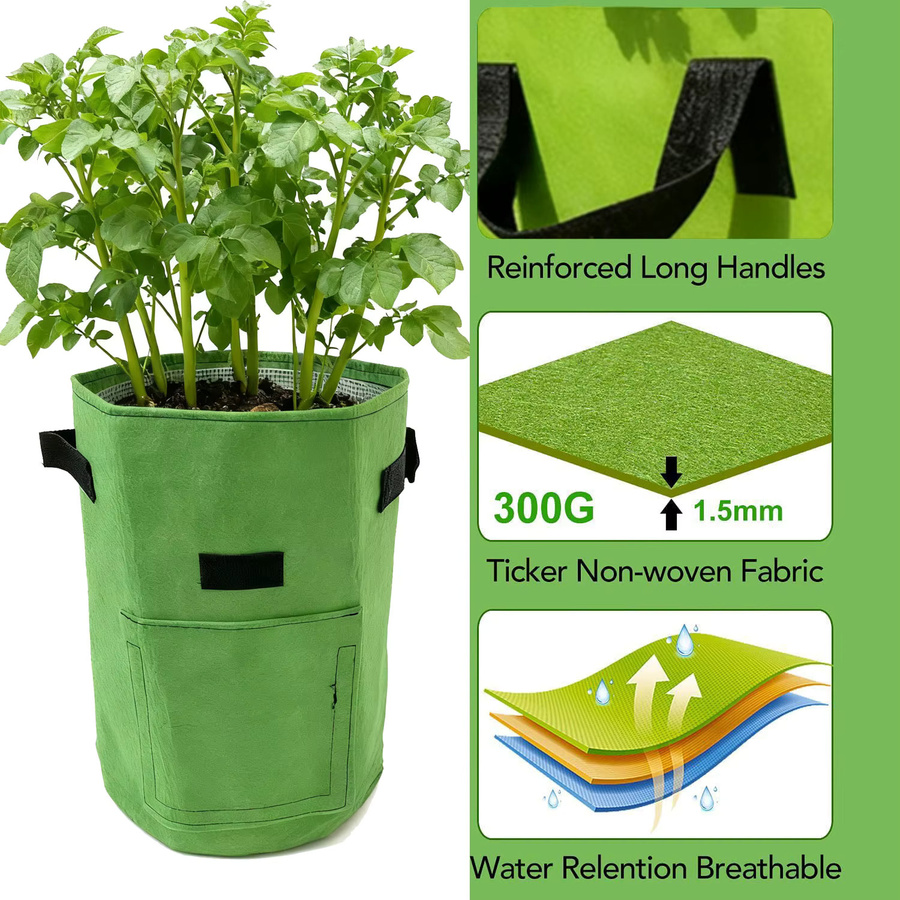 SPONDWILD 12er Set Pflanzbeutel für Kartoffeln und Gemüse, Farbe: Grün, B/T/H: 35 x 35 x 30 cm - Bild 2