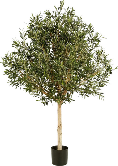 Künstlicher Olivenbaum Ivy von Aplanta, Höhe: 150 cm - Bild 1