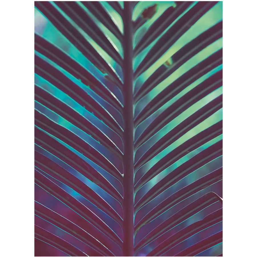 Komar Wandbild Hide Paper Poster Multicolor B: 30 cm, H: 40 cm - Bild 2