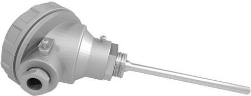 Emko Widerstandsthermometer RTKRT-M06-L050.1 mit Pt100 Fühler in Silber, Messbereich bis max. +500°C - Bild 1