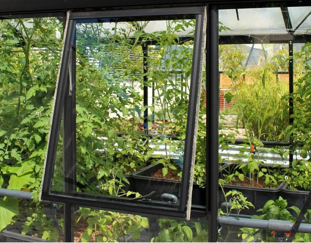 Vitavia Seitenfenster aus Aluminium und ESG Hartglas in Schwarz, B: 55,4 cm, H: 87,6 cm - Bild 1