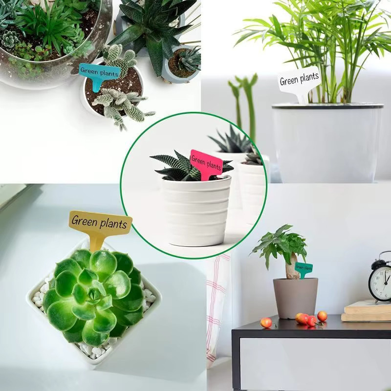 100 Stück wasserdichte Gartenschilder aus weißem Kunststoff als Pflanzenetiketten und Sortierschilder - Bild 3