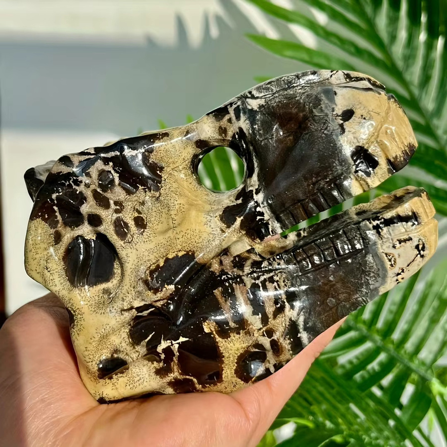 CrystalHola Dinosaurierschädel aus Naturstein mit Bernstein-Optik und kristallähnlicher Textur - Bild 5