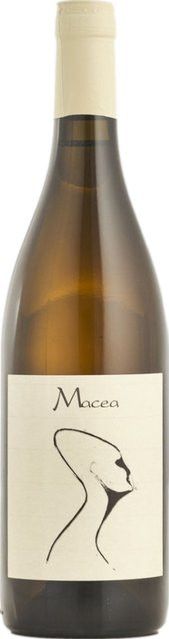 Macea Sauvignon Blanc Weißwein, Toskana, 2021, trocken, 0,75 l - Bild 1