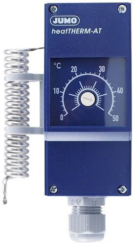 Jumo Temperaturwächter 60003194 in Blau aus Kunststoff für die Wandmontage - Bild 1