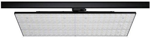 Paulmann ProRail3 LED-Schienenstrahler Schwarz mit 75W und warmweißem Licht - Bild 1