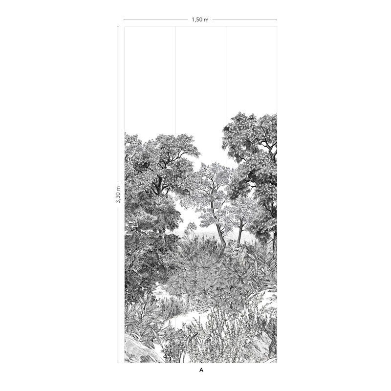 Isidore Leroy Fototapete Foret Bretagne Grisaille in Grau mit Naturmotiv und Landschaftsmotiv - Bild 2