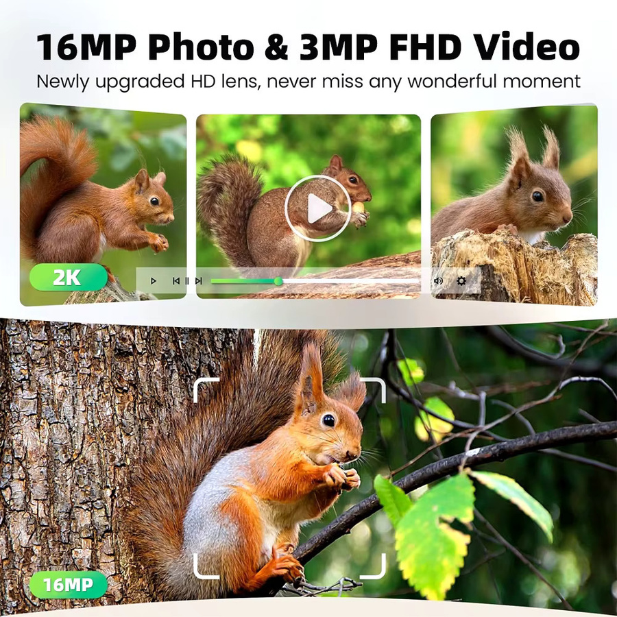 REHENTINT Wildlife Kamera mit 3MP Auflösung, 4G LTE Sim Karte, GPS und Solarpanel, Schwarz - Bild 6