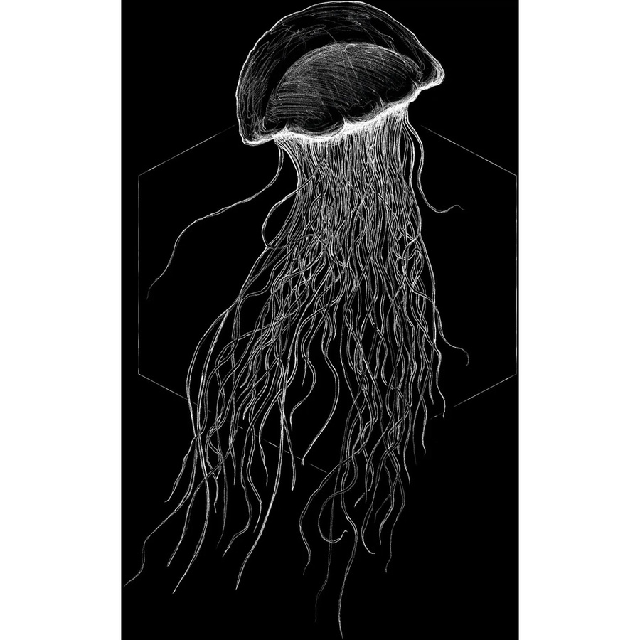 Komar Wandbild Jellyfish in Schwarz, Breite: 40 cm, Höhe: 50 cm - Bild 2