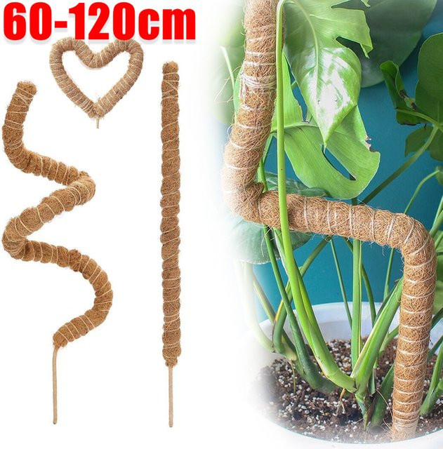 Biegsamer Pflanzen-Kletterstab aus Kokosfaser für Monstera und Zimmerpflanzen, braun, Höhe: 60–120 cm - Bild 1
