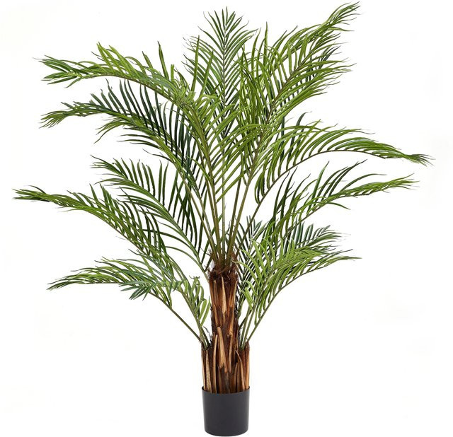 Künstliche Kentia-Palme von Aplanta, Höhe: 180 cm - Bild 1