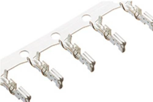 Molex WTW/WTB 508028100 Steckverbinder aus Messing in Weiß - Bild 1