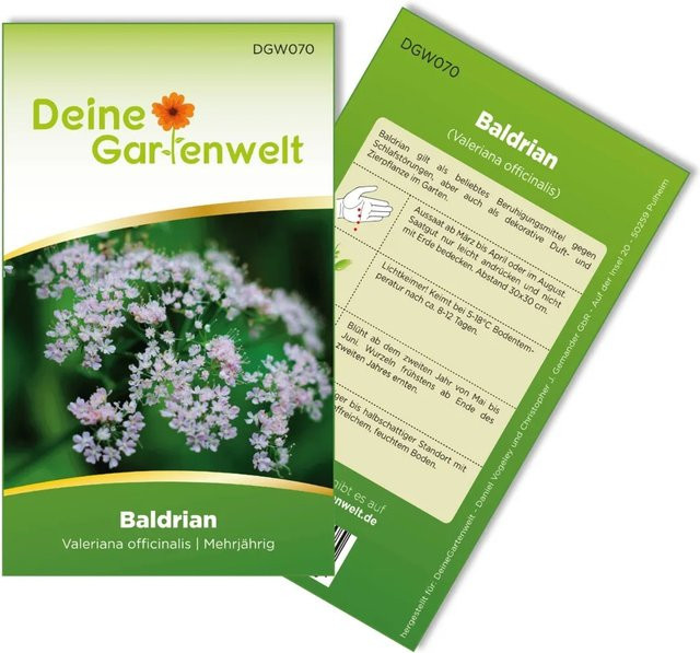 Deine Gartenwelt Baldrian Samen für den Garten als Zierpflanze - Bild 1