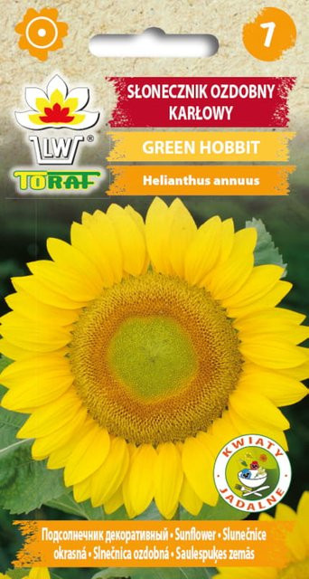 Toraf Sonnenblumen Samen Sorte Green Hobbit Gelb 1g - Bild 1
