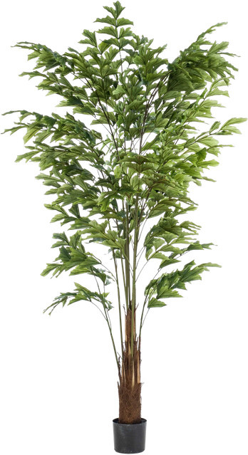 Künstliche Fischschwanzpalme Nayla von Aplanta, Höhe: 210 cm - Bild 1