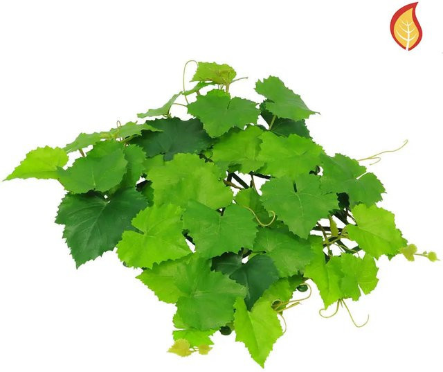 Künstliche Weinrebenmatte Aplanta Stephan, Breite: 25 cm - Bild 1