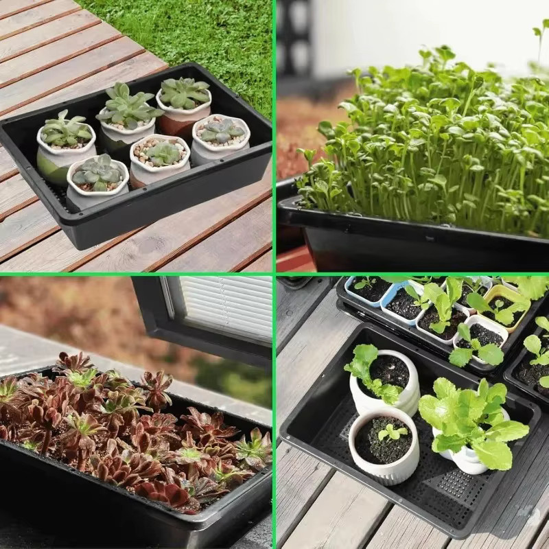 Keimschalen aus Kunststoff für Hydrokultur, Microgreens und Pflanzenzucht, Anzuchtbehälter in Weiß oder Schwarz - Bild 6